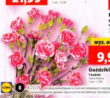 goździki