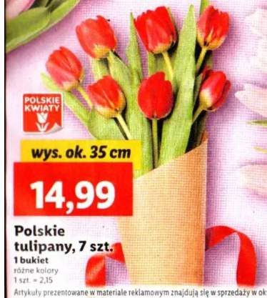 tulipany