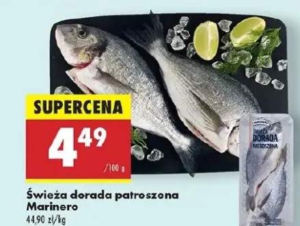 dorada świeża