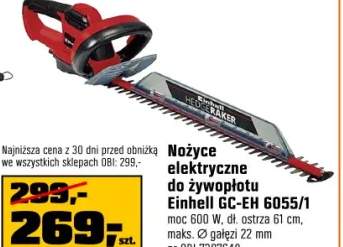 nożyce do żywopłotu