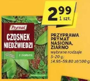 czosnek niedźwiedzi