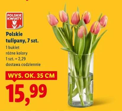 tulipany bukiet