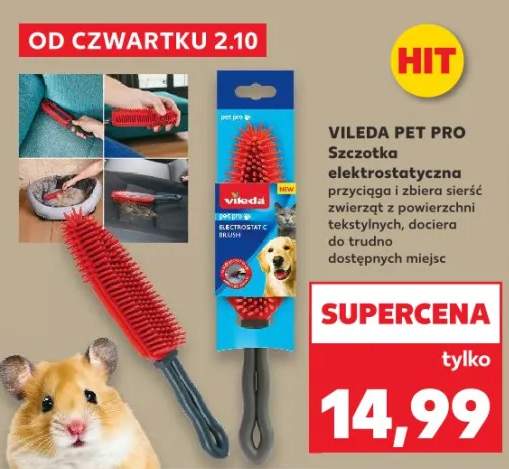 szczotka dla psa