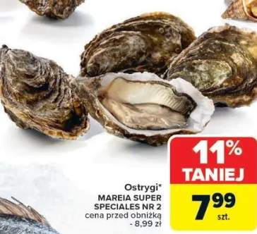 ostrygi
