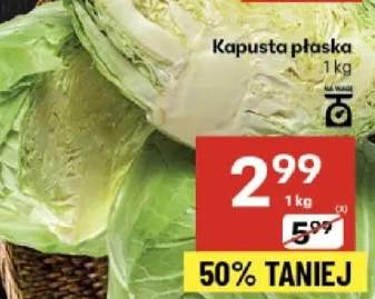 kapusta