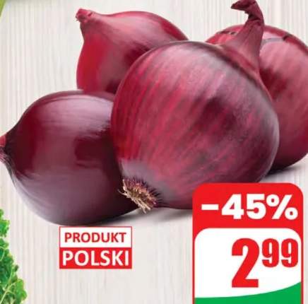 cebula czerwona