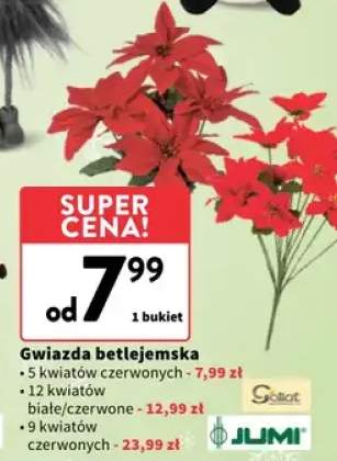 gwiazda betlejemska