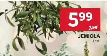 jemioła