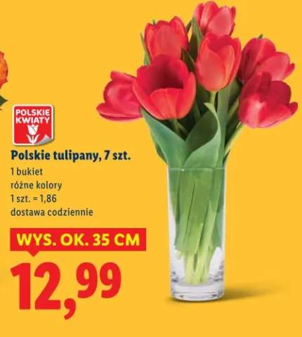tulipany