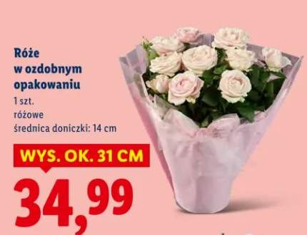 Róże w ozdobnym opakowaniu różowe