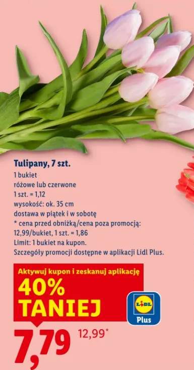 Tulipany różowe lub czerwone 7szt.