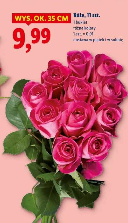 Róże 11 szt. różne kolory