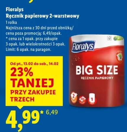 Ręcznik papierowy 2-warstwowy