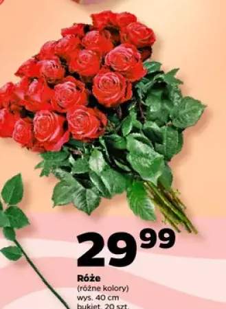 róże