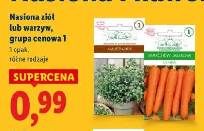 Nasiona ziół lub warzyw grupa cenowa 1 różne rodzaje