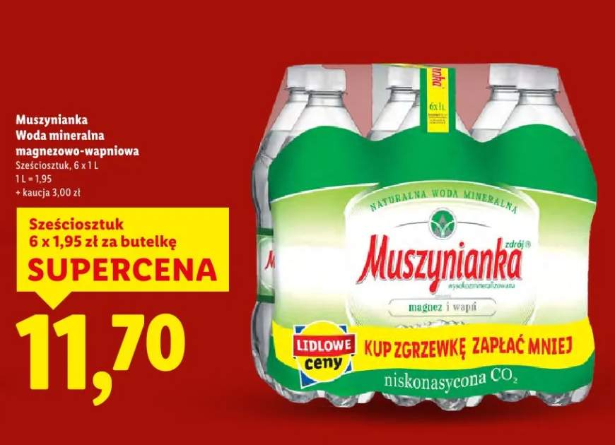 Woda mineralna magnezowo-wapniowa sześciosztuk 6x1l