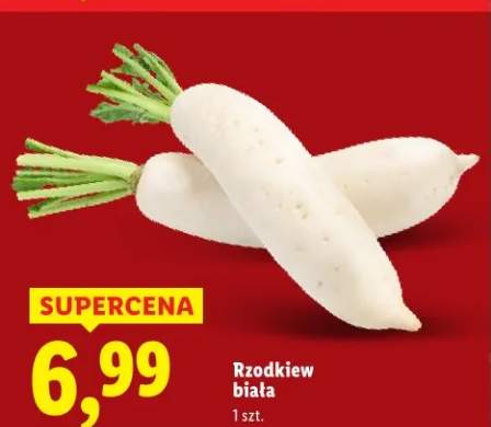 Rzodkiew biała