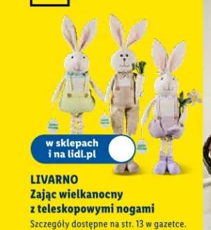 zajączek wielkanocny