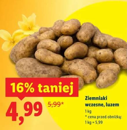 Ziemniaki wczesne, luzem