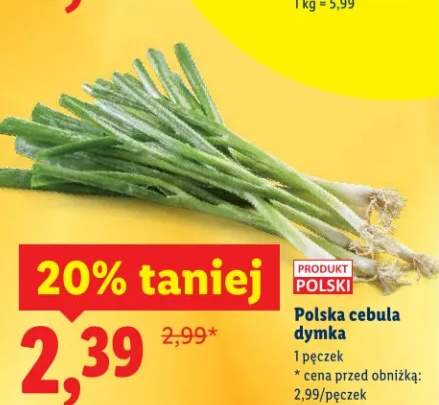 Cebula dymka polska