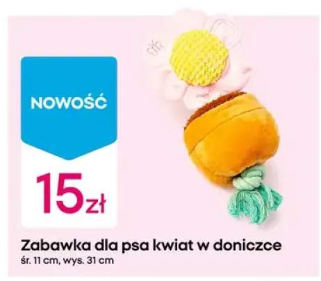 zabawka dla psa