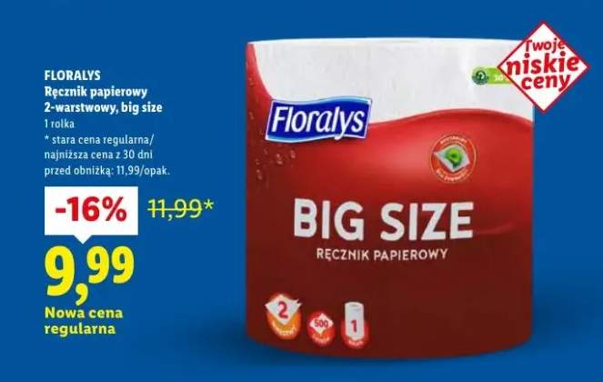 Ręcznik papierowy 2-warstwowy, big size 1 rolka