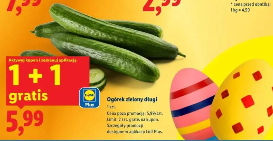 Ogórek zielony długi