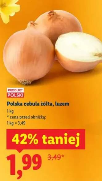Polska cebula żółta, luzem