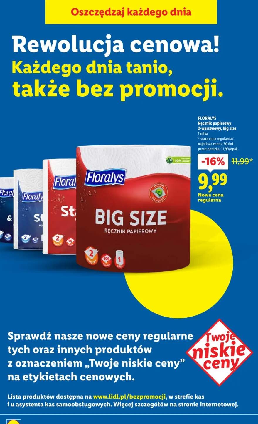 Ręcznik papierowy 2-warstwowy, big size