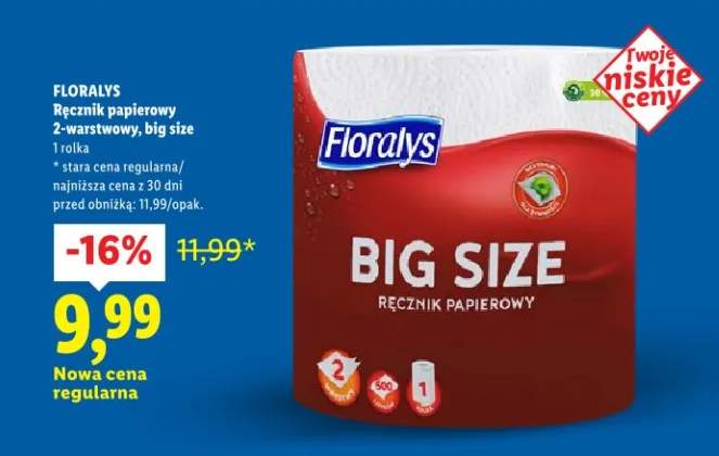 Ręcznik papierowy 2-warstwowy, big size