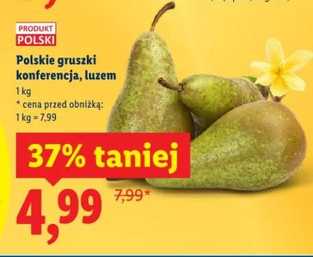 Gruszki konferencja polskie luzem