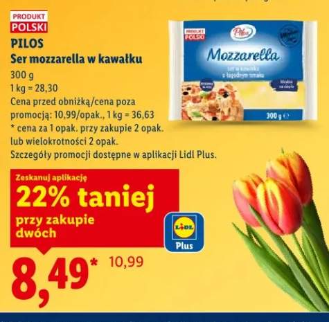 Ser mozzarella w kawałku