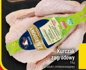 kurczak