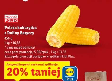 Kukurydza z Doliny Baryczy