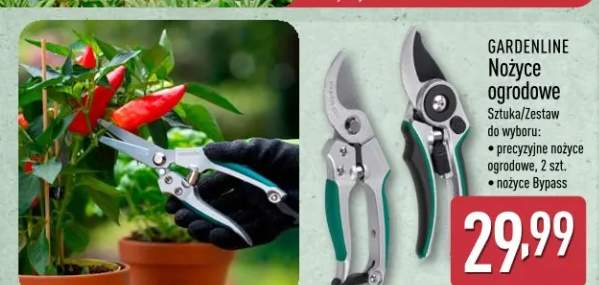 nożyce ogrodowe