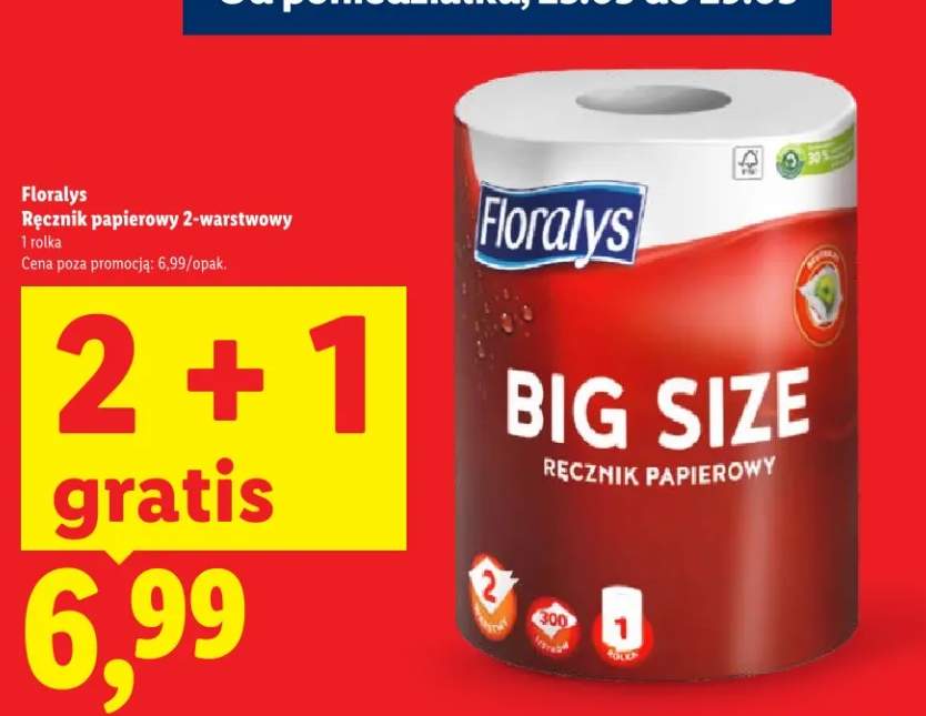 Ręcznik papierowy 2-warstwowy