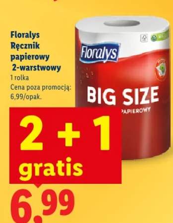 Ręcznik papierowy 2-warstwowy