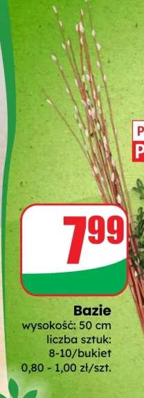 bazie
