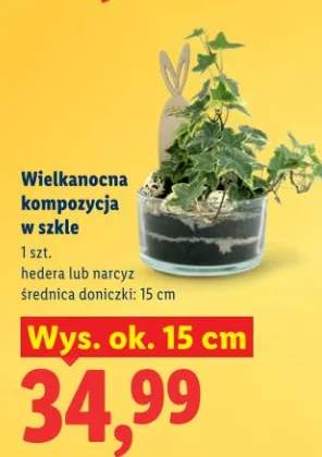 Wielkanocna kompozycja w szkle hedera lub narcyz