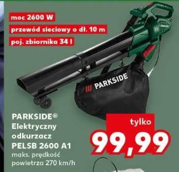 odkurzacz do liści