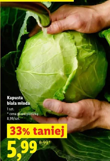 Kapusta biała młoda
