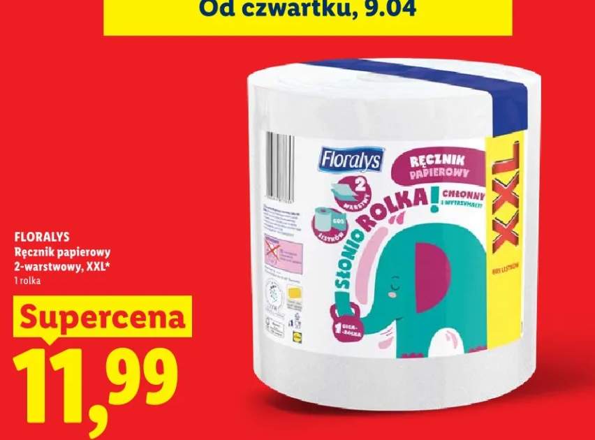 Ręcznik papierowy 2-warstwowy XXL