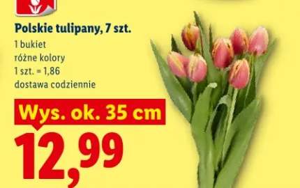 Tulipany polskie różne kolory bukiet