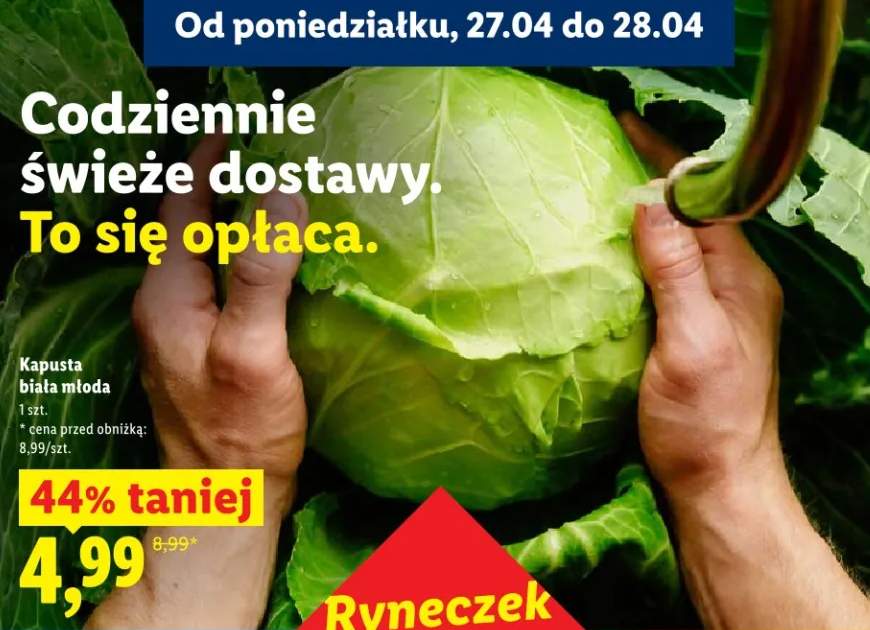Kapusta biała młoda