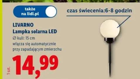 Lampka solarna LED Livarno ø15cm