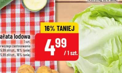 sałata lodowa
