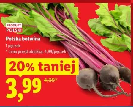Botwina polska