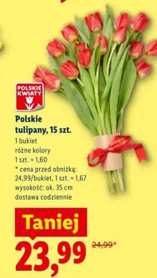 Polskie tulipany 15szt.