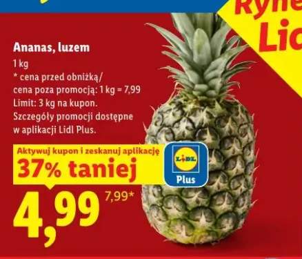 Ananas luzem