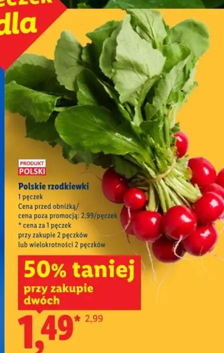 Rzodkiewki polskie